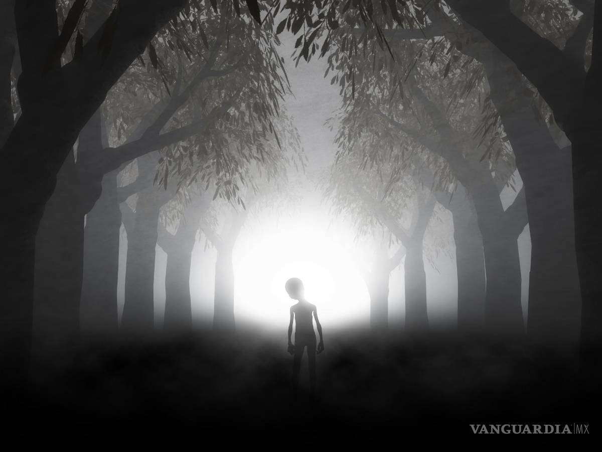 $!La Ecuación de Drake, fue concebida en 1961 por el radioastrónomo Frank Drake y se emplea para estimar la cantidad de civilizaciones en nuestra galaxia.