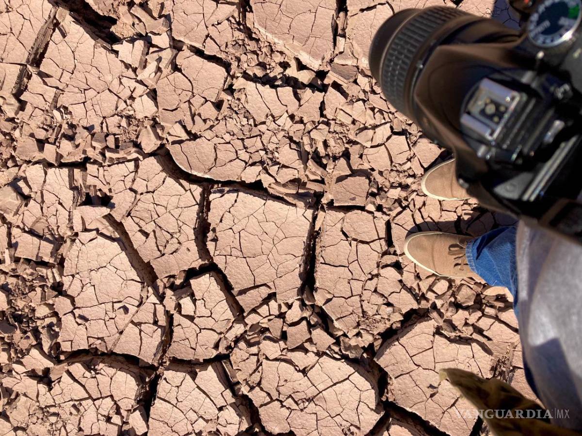 $!Jalpa: Mapa-relato de un ejido: Retratan en colaboración la memoria de una tierra