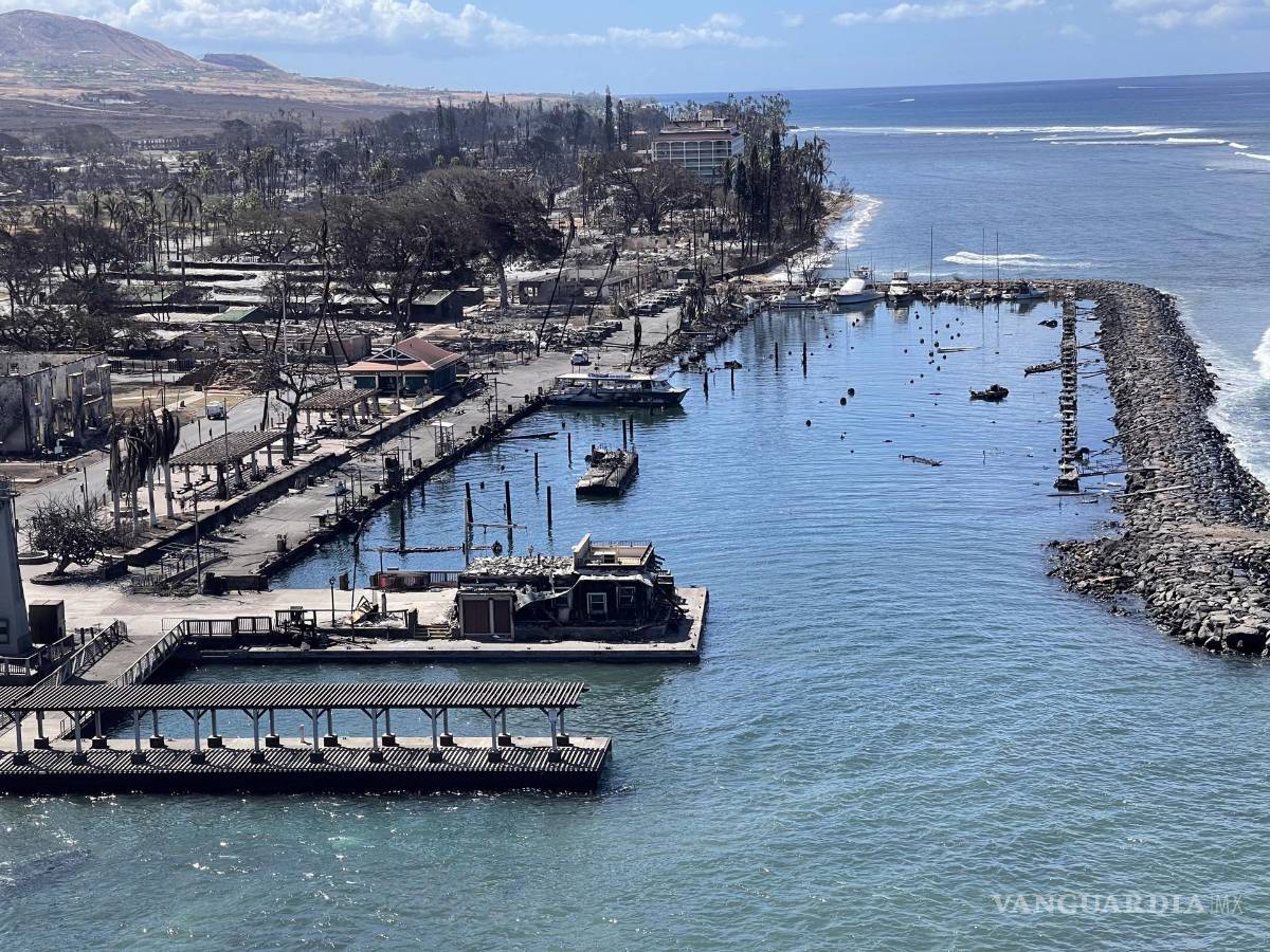 $!“Una gran ola vendría y nos aliviaría. Así que las olas, el océano, de verdad nos cuidaron”, aseguró Lisa Francis