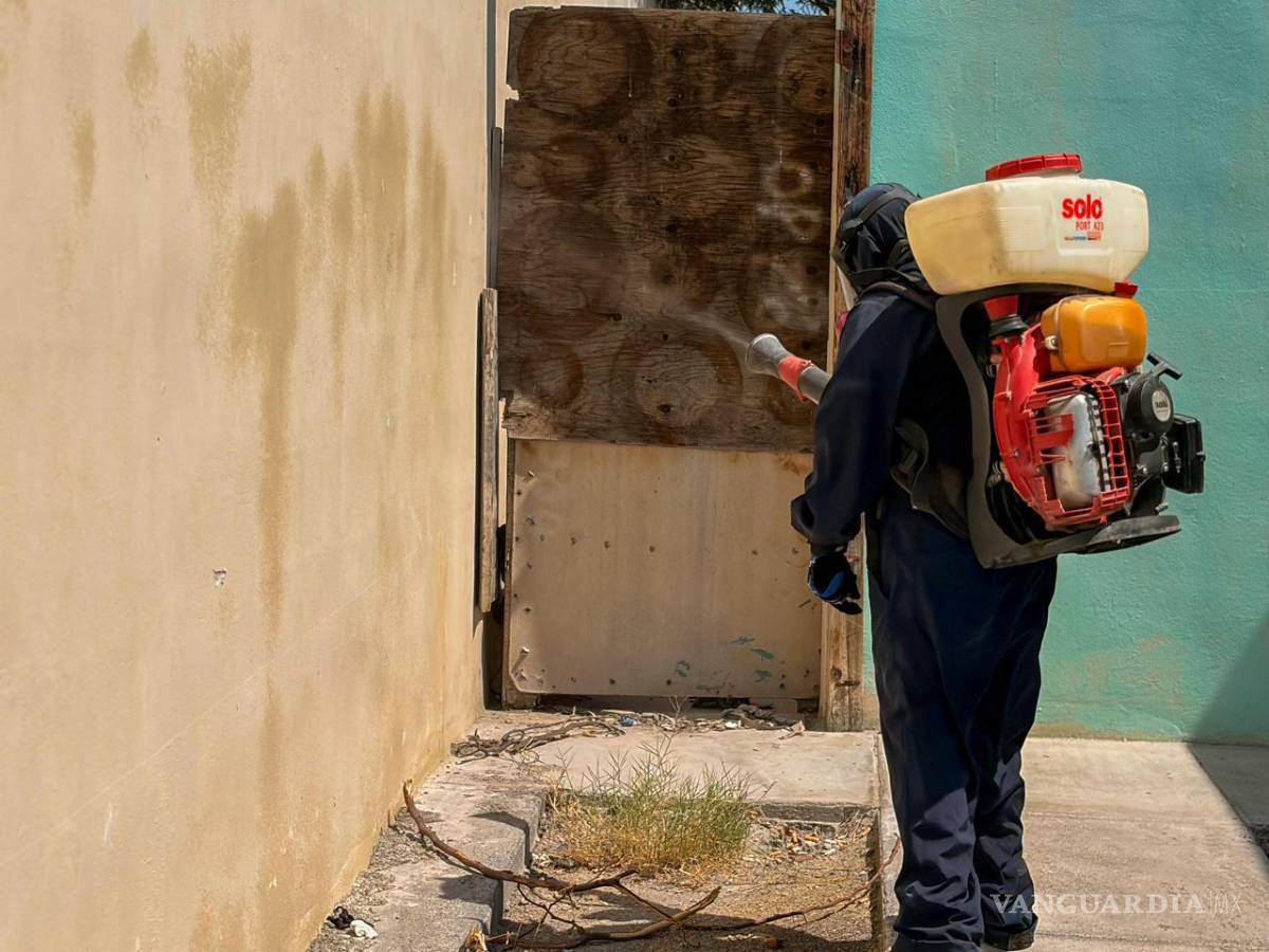 $!Se efectuaron fumigaciones domiciliarias para combatir garrapatas, piojos y ácaros.