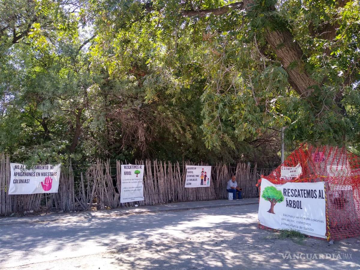 $!En la zona se encuentra un vigilante asignado por la Dirección de Ecología del Municipio, quien contó que se encuentra ahí desde hace un mes y medio.