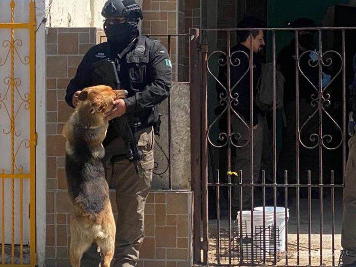 $!Al ser un perro de talla grande, Fiscal tuvo que quedarse en el albergue junto a otros perritos