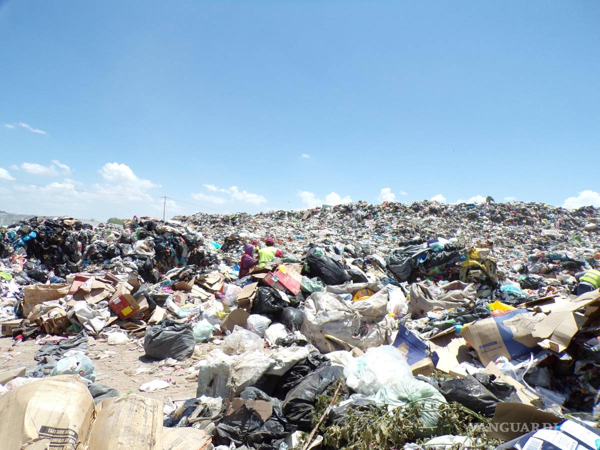 $!La basura se ha convertido en un conflicto entre grupos sin que hasta el momento el Ayuntamiento interceda.