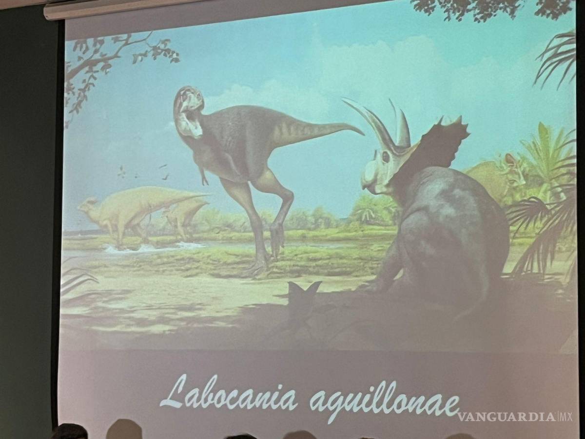 $!Representación artística de Labocania aguillonae, el primer tiranosaurio descubierto en Coahuila.