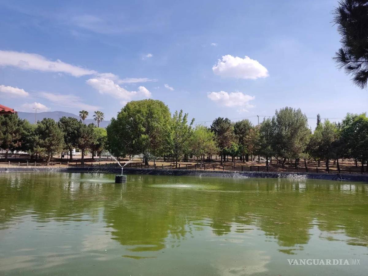 $!El Bosque Urbano es una de las áreas naturales protegidas en Saltillo.