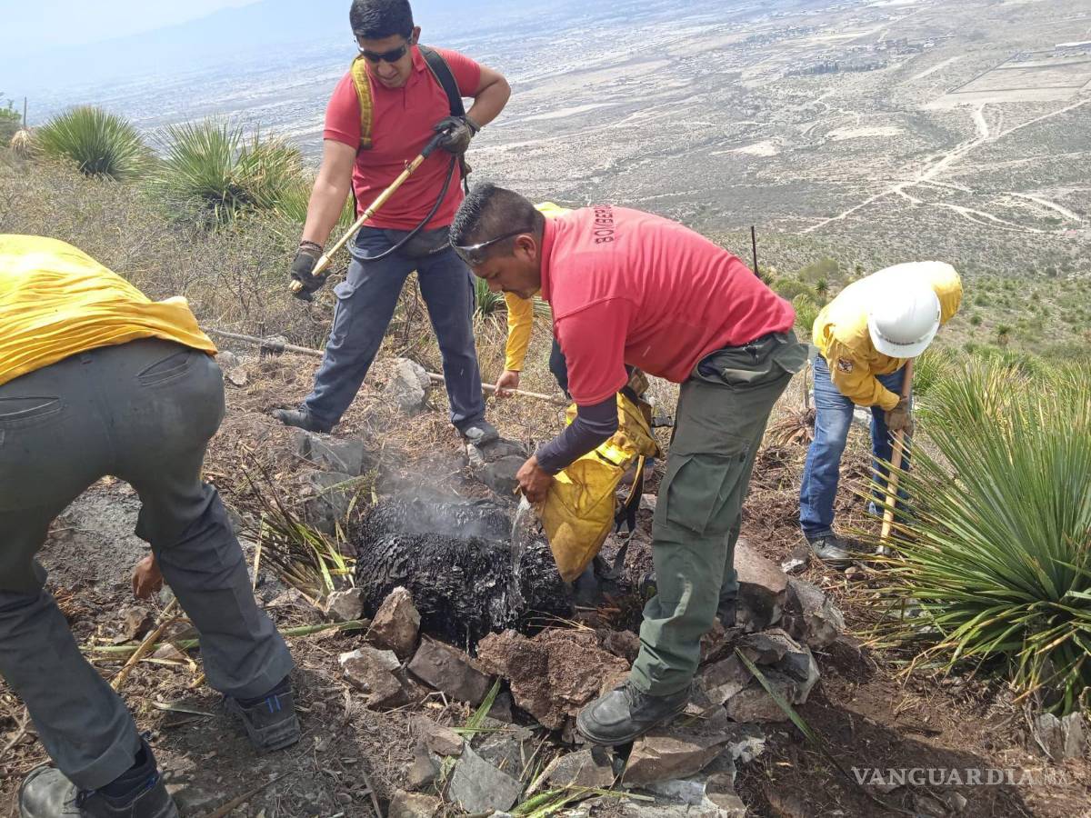 $!Al poner el marcha el protocolo de acción evitaron que el fuego se propagara.