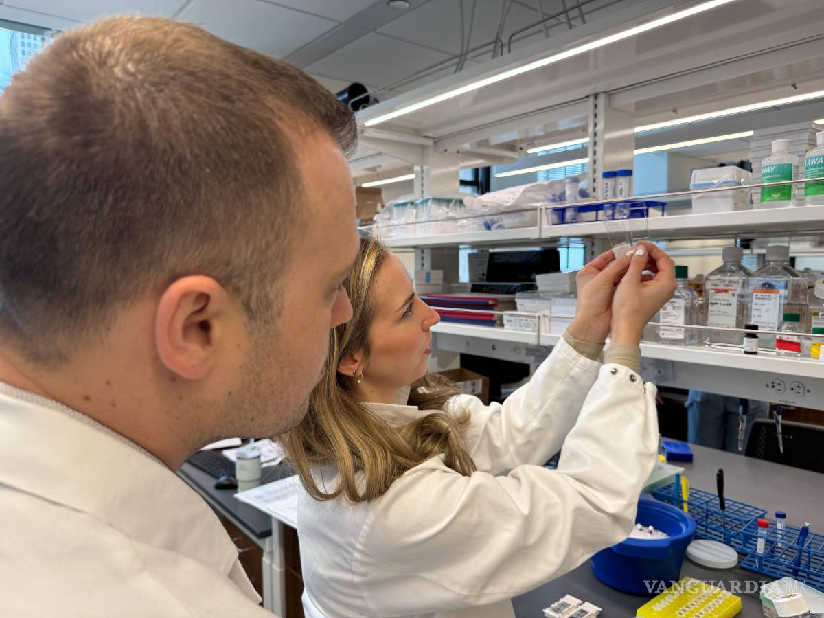 $!Los autores del estudio, David Gate (izquierda) y Lynn van Olst (derecha), comparan dos portaobjetos con tejido cerebral humano con enfermedad de Alzheimer.