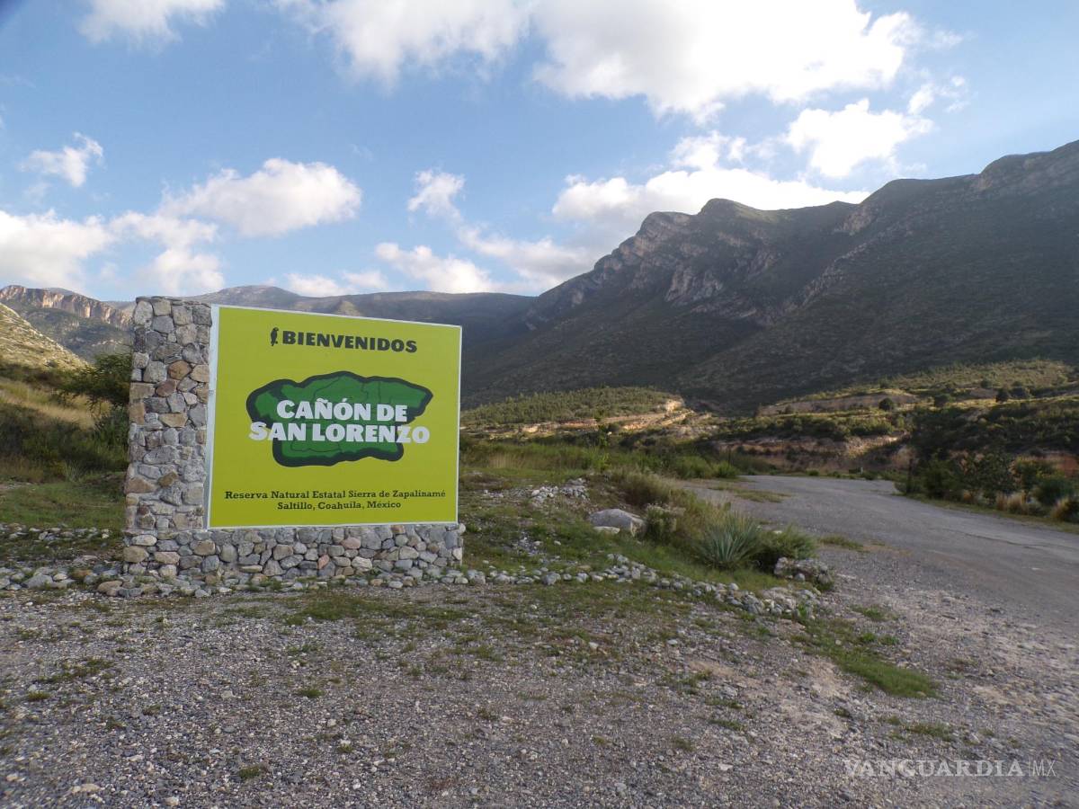 $!A lo largo del Cañón de San Lorenzo se han identificado al menos tres manadas de perros asilvestrados gracias a las cámaras de sensor.