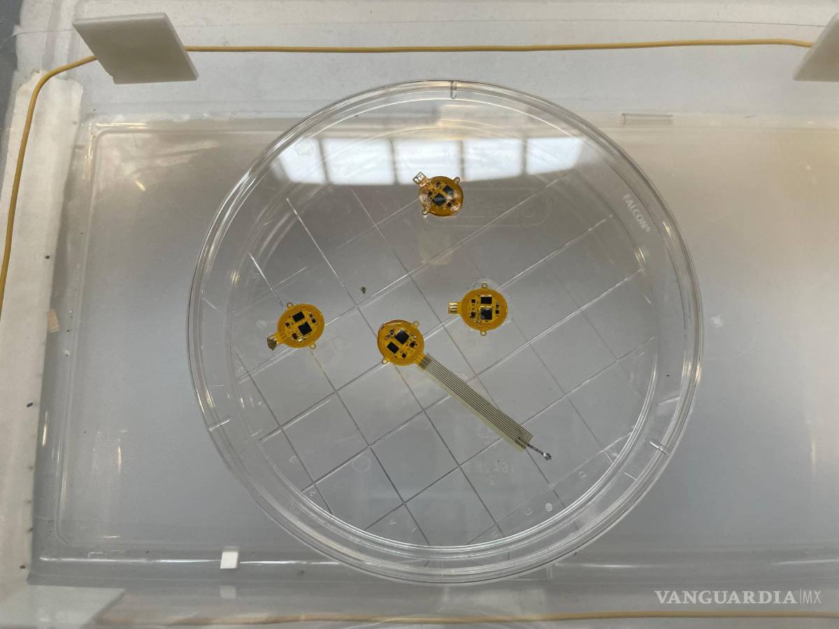 $!Piezas del dispositivo BES en una cubeta de laboratorio.