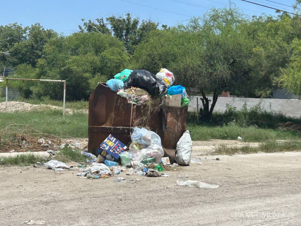 $!La acumulación de desechos ha generado malos olores y presencia de insectos y animales en distintos puntos de la ciudad.