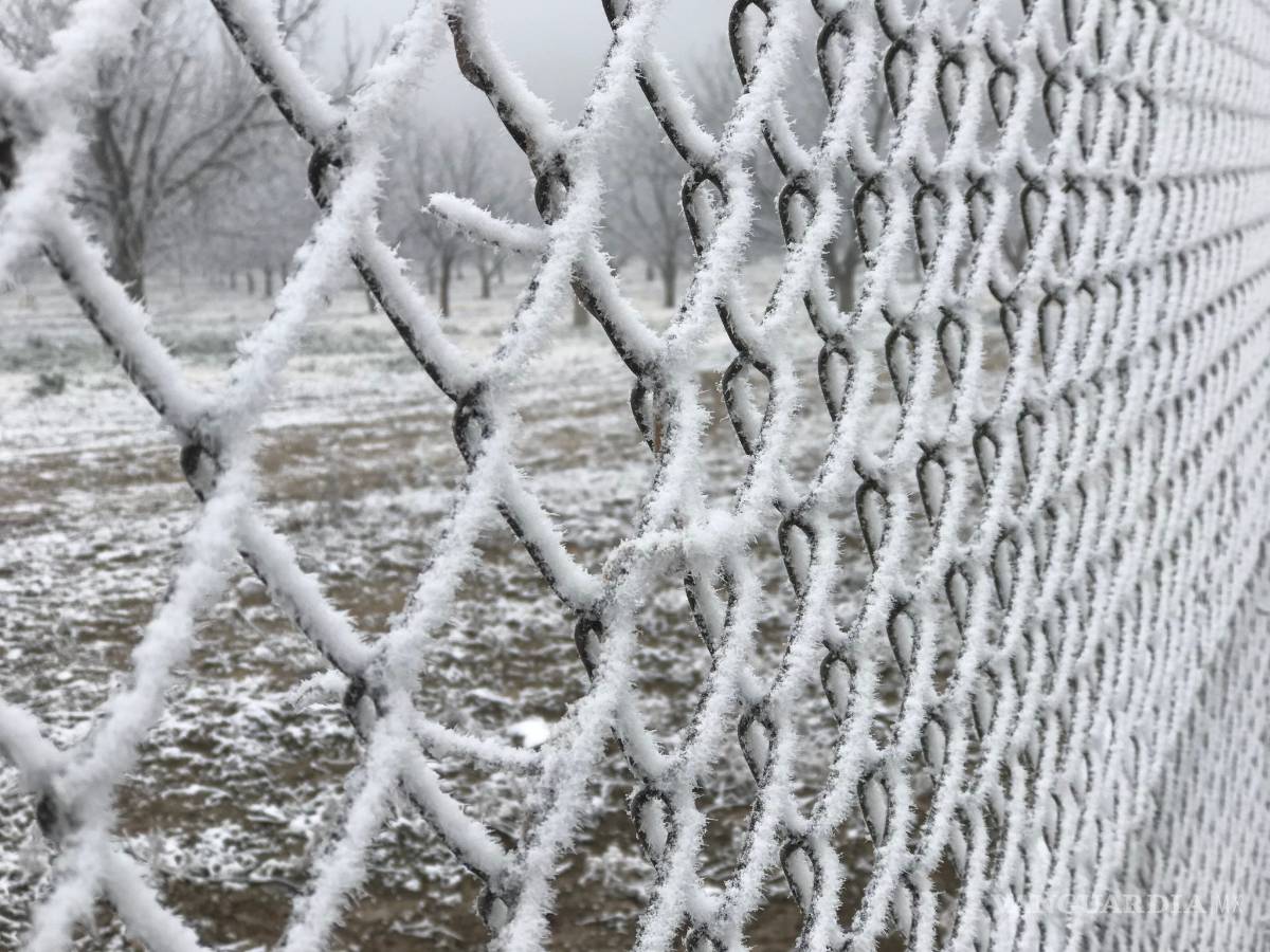 $!Ramos Arizpe se viste de blanco (fotogalería)