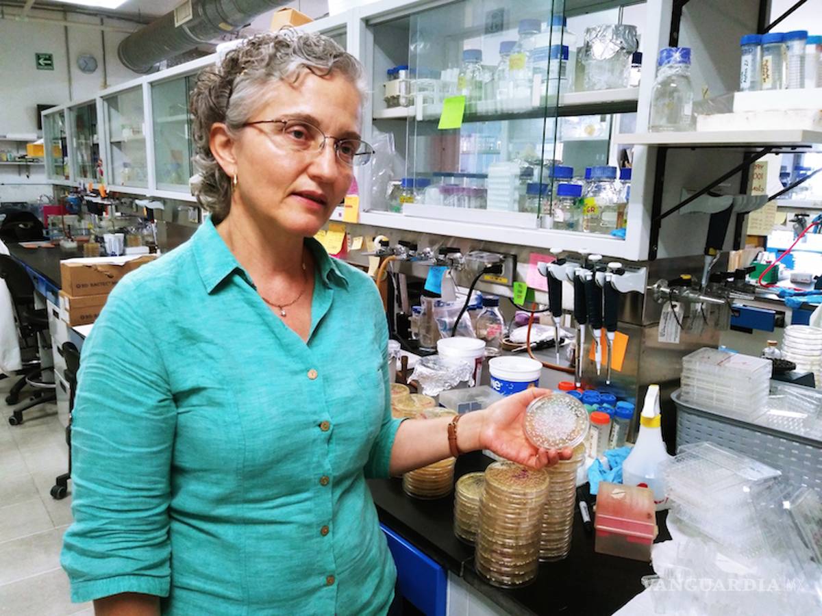 $!Científicos mexicanos patentan método para diagnosticar infección sanguínea