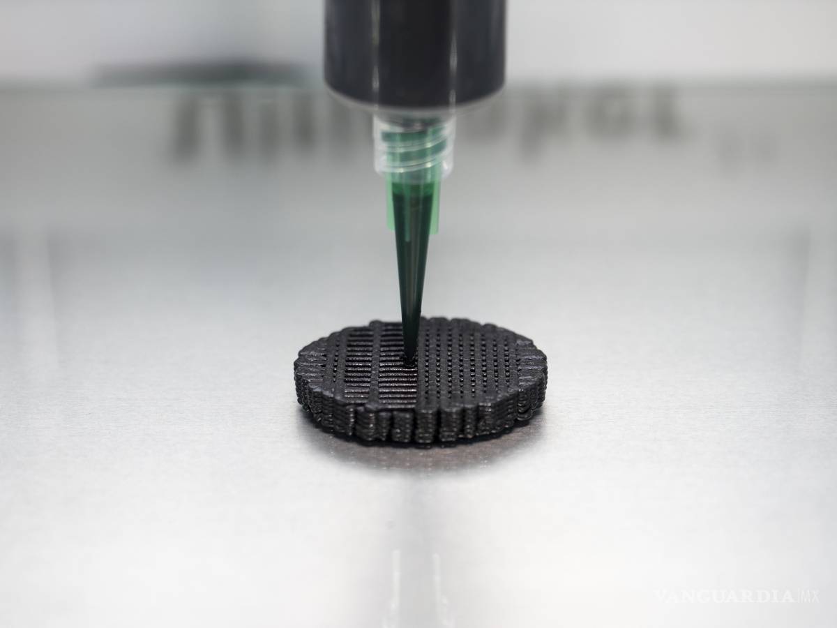 $!Electrodo impreso en rejilla contiene el hongo utilizado en el compartimento anódico de la pila.
