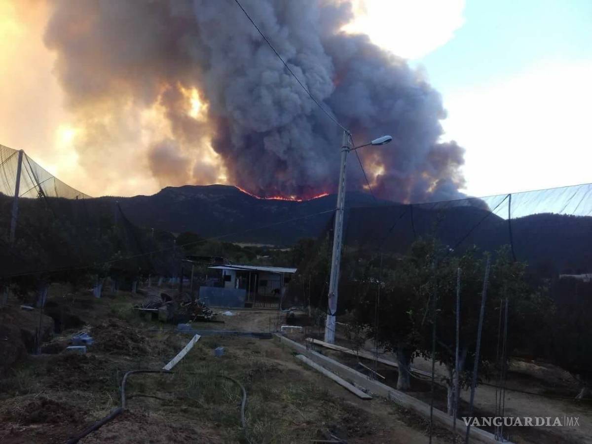 $!Corto circuito, posible causa del fuerte incendio en La Carbonera, Arteaga
