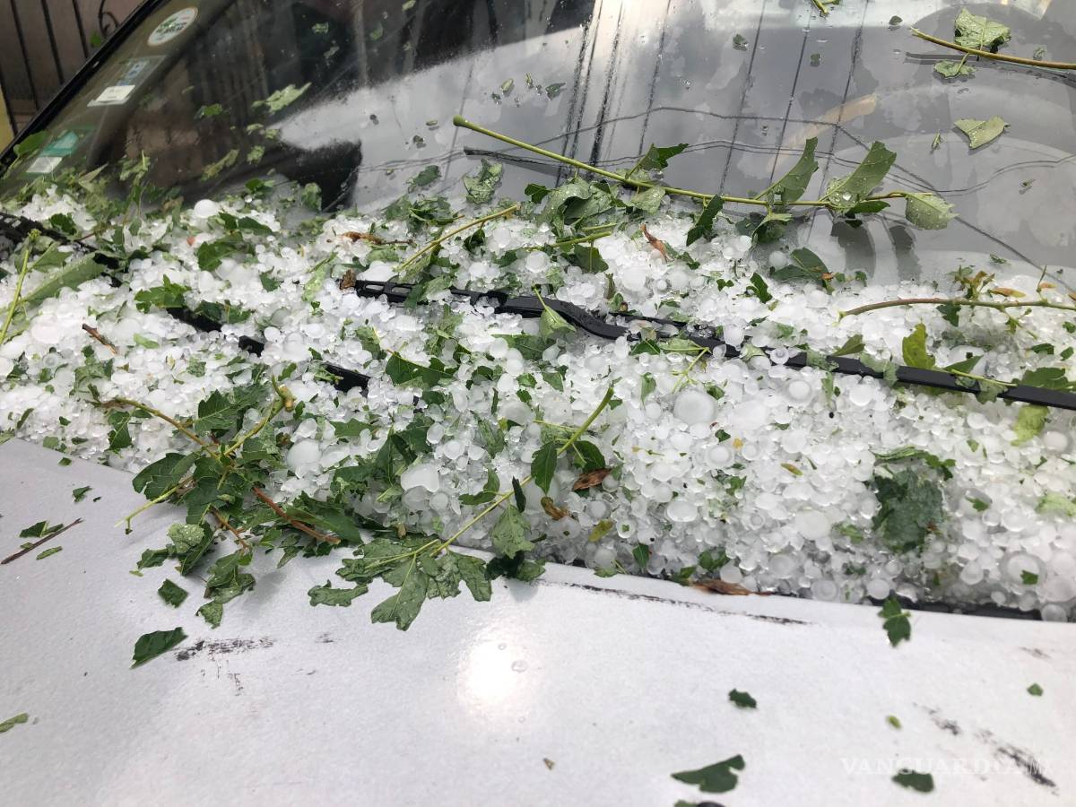 $!Las mejores imágenes de la granizada en Saltillo