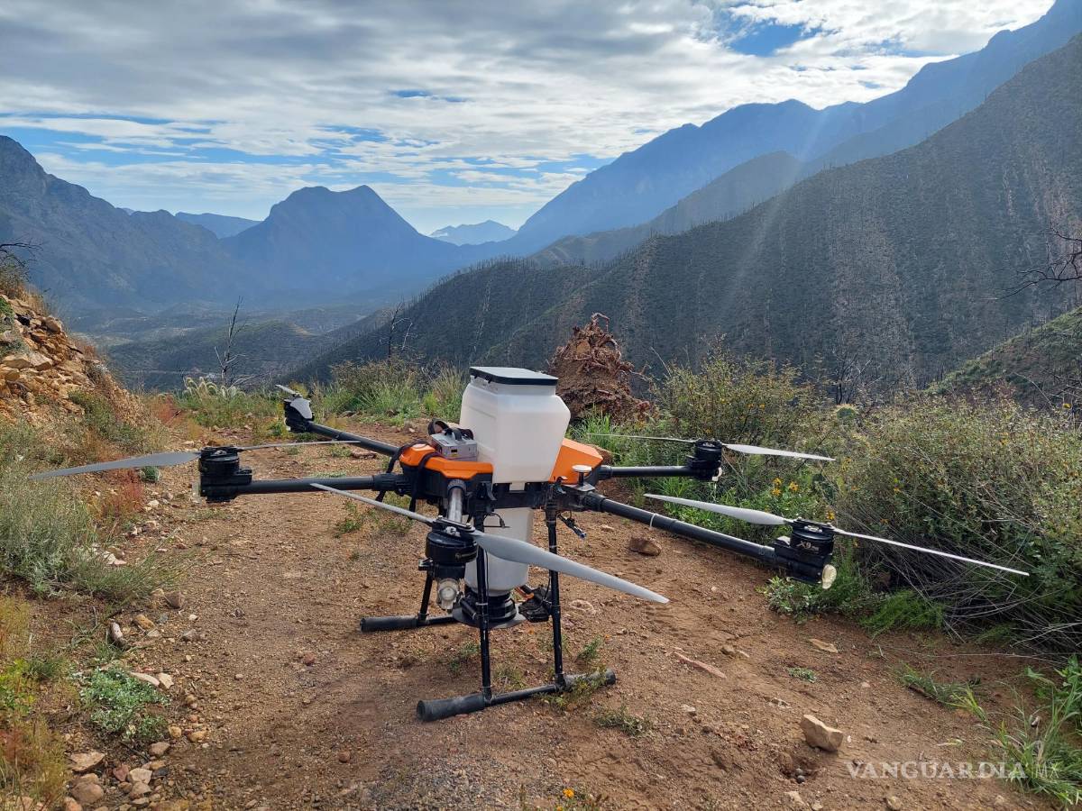 $!El dron agrícola fue fabricado y adaptado para la misión de diseminar las semillas en distintas zonas de la sierra.
