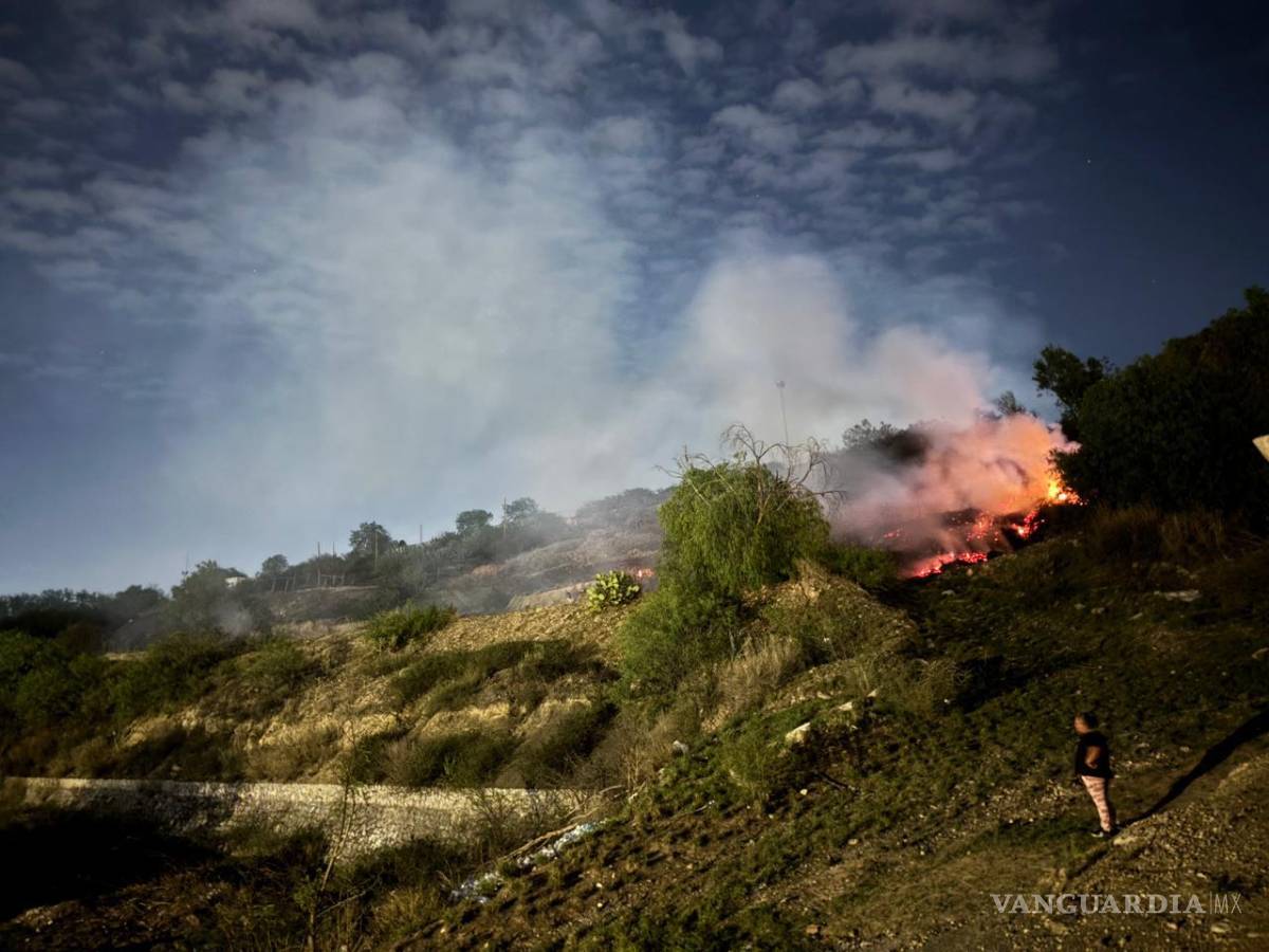 $!Personal de la Policía Municipal y Protección Civil acudió al sitio para tomar conocimiento de los hechos y evaluar posibles afectaciones en el área que recientemente había sido reforestada.