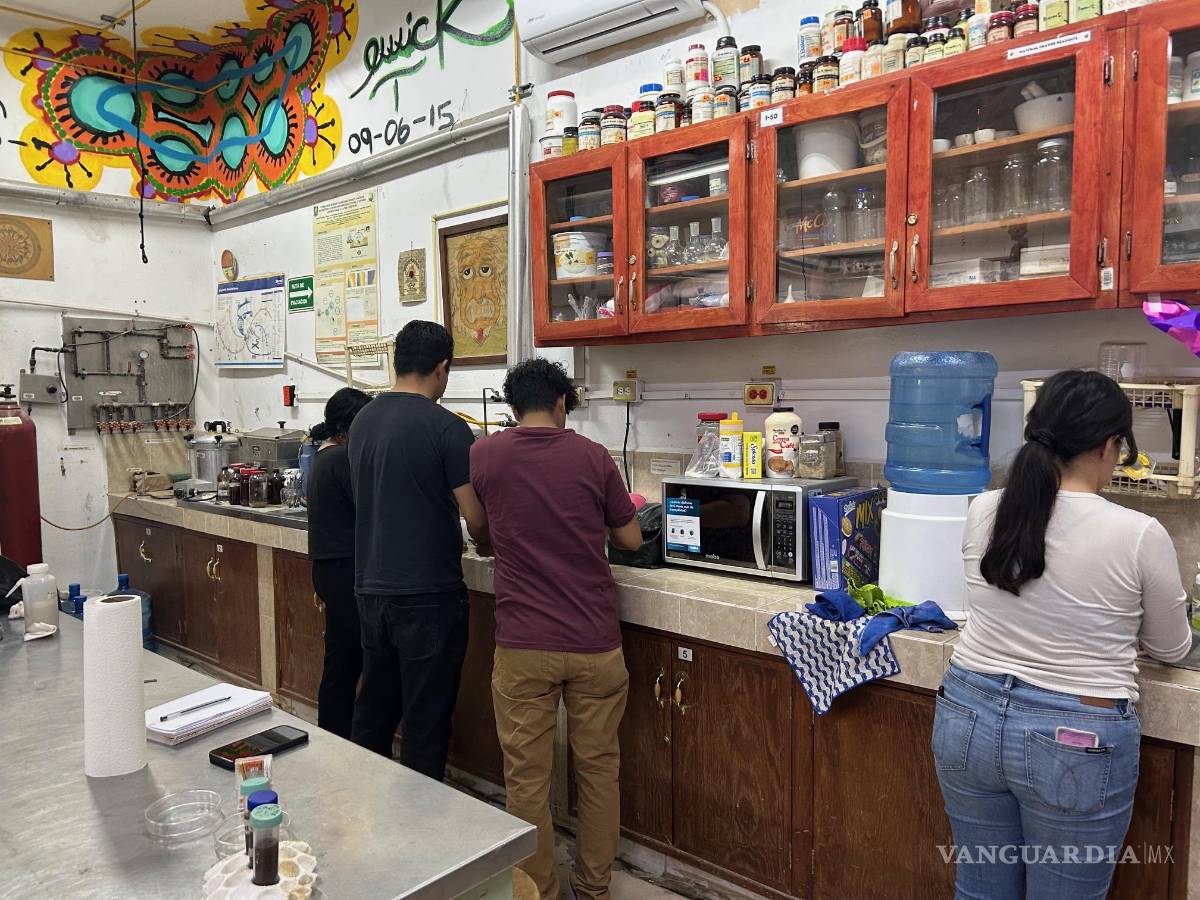 $!Estudiantes de la facultad acuden al laboratorio para continuar las investigaciones, aunque las clases hayan terminado o todavía no inicie el semestre.