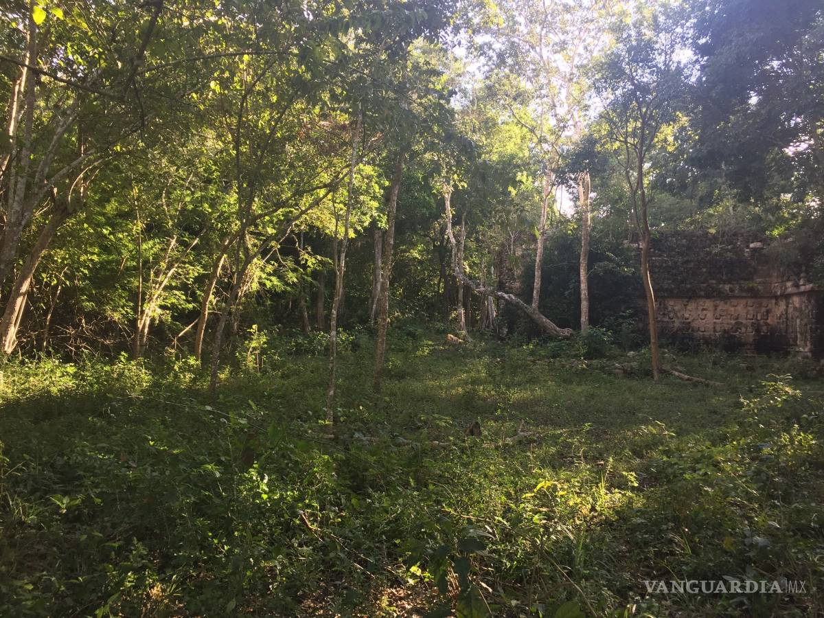 $!Kulubá, la ciudad maya que está en Yucatán recupera todo su esplendor