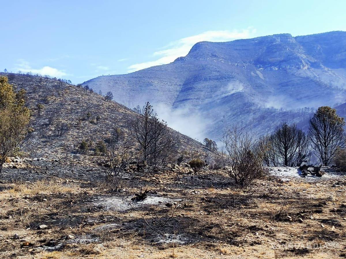 $!Liquidados, tres incendios forestales en el Sureste de Coahuila; aun hay seis activos