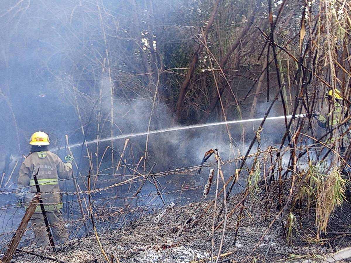 $!Tras controlar el incendio, en la zona permanecieron carrizos derribados y áreas acordonadas mientras continuaban las labores de atención.