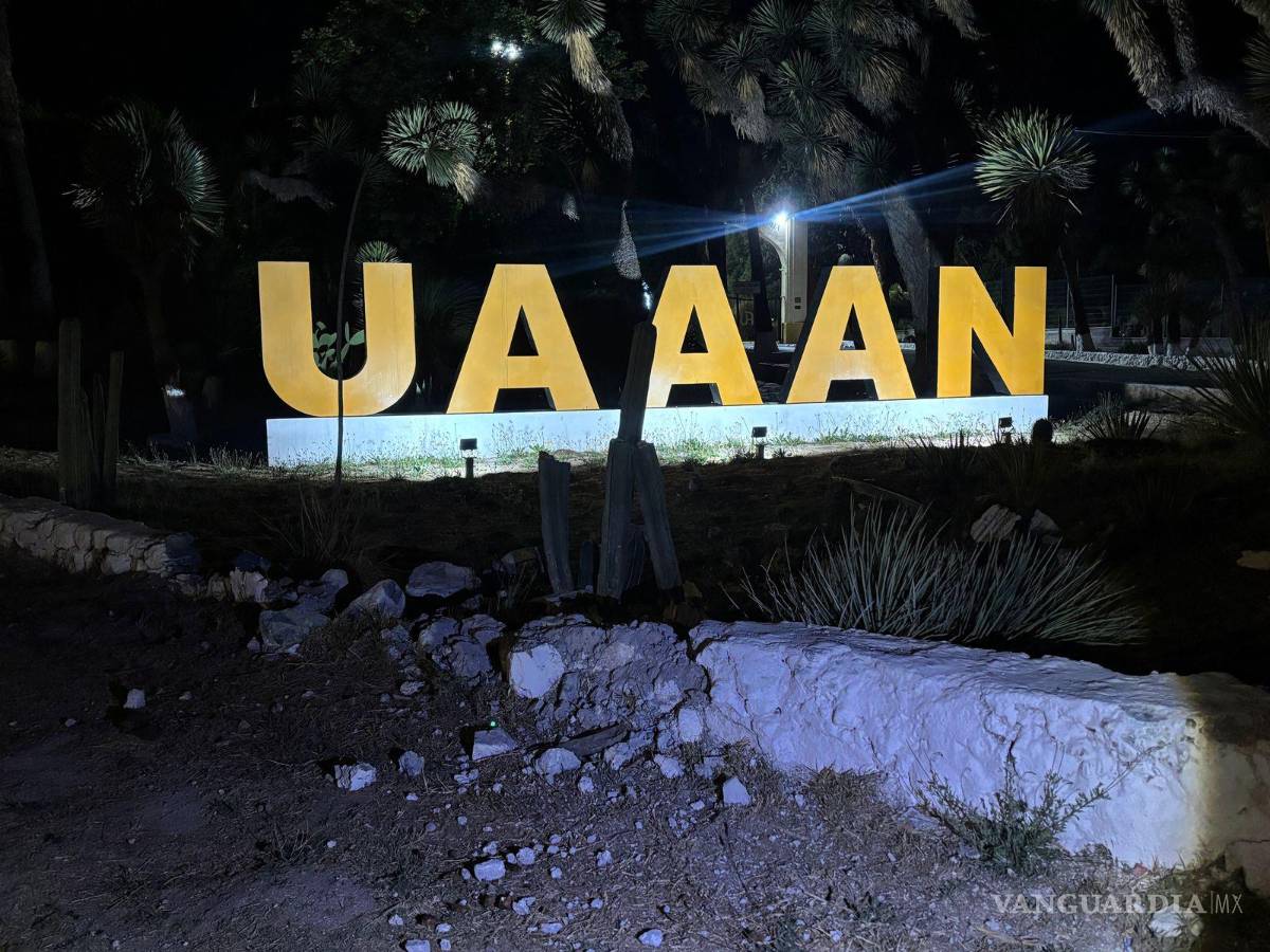 $!El impacto derribó parte de la barda que protege las letras monumentales de la UAAAN.