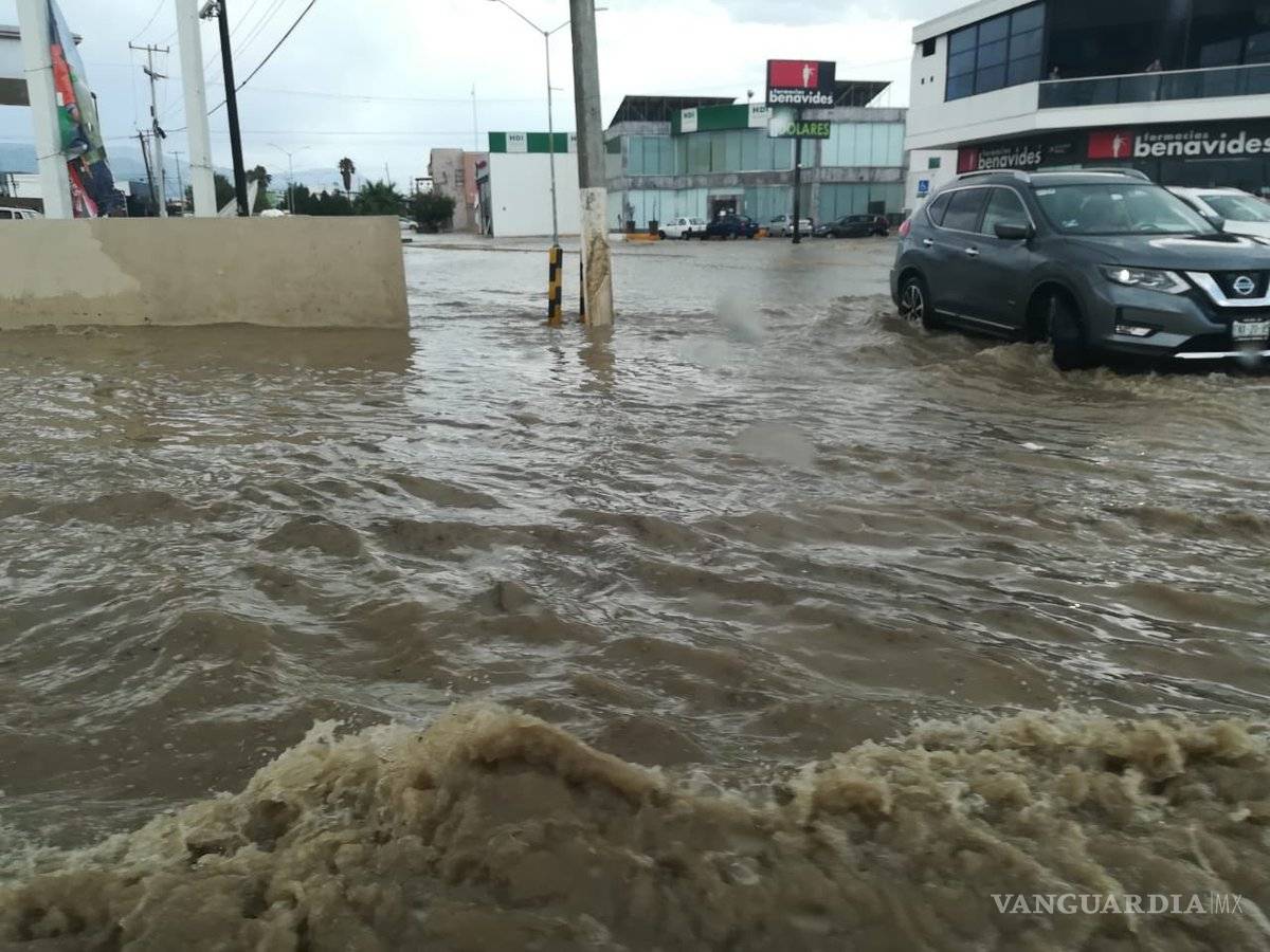 $!Tromba causa caos en norte de Saltillo; caen árboles y panorámicos
