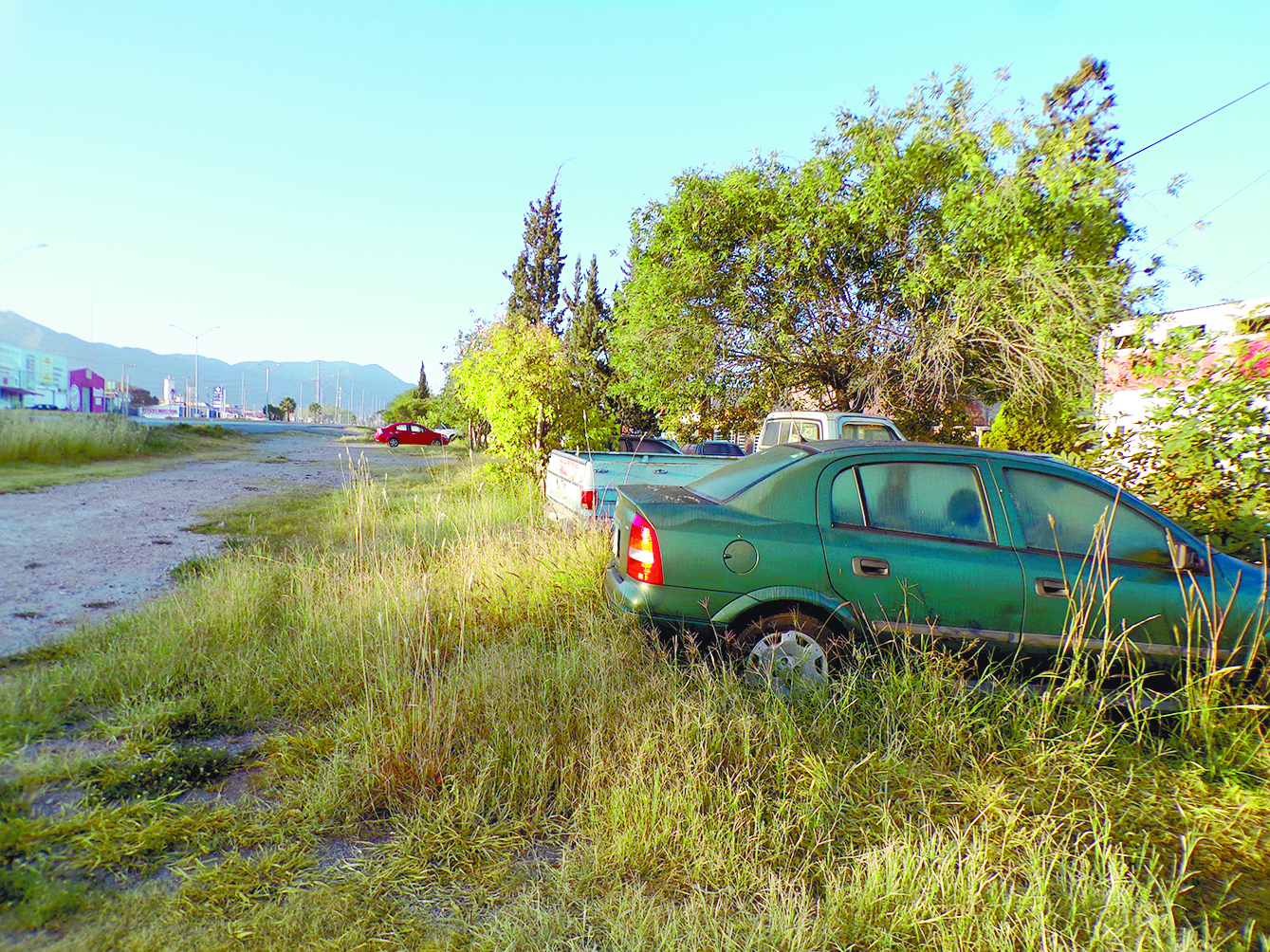 $!Vecinos de colonia del sur de Saltillo se quejan de gallos; no los dejan dormir, afirman