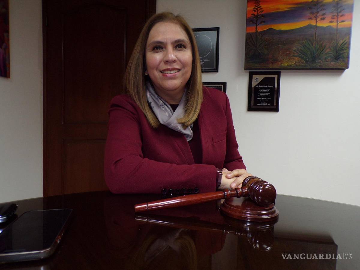 $!La doctora en derecho penal, Ana Bel Rodríguez, opina que no debería existir un catálogo de delitos de prisión preventiva oficiosa.