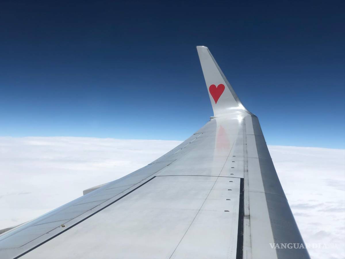 $!Flightradar24 combina esas señales con otra información, como una base de datos de propietarios de aviones y los horarios de los vuelos comerciales.