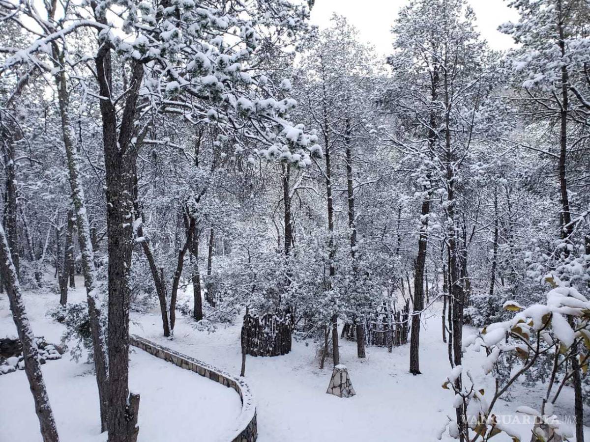 $!Arteaga se pinta de blanco en el último día del año