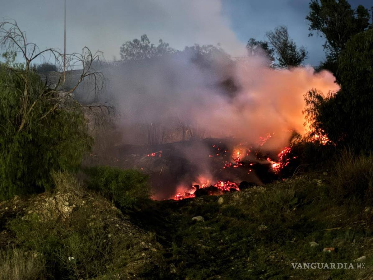 $!La columna de humo generada por el incendio en el parque Venustiano Carranza alertó a vecinos de la zona, quienes solicitaron el apoyo de cuerpos de emergencia a través de grupos de mensajería instantánea.
