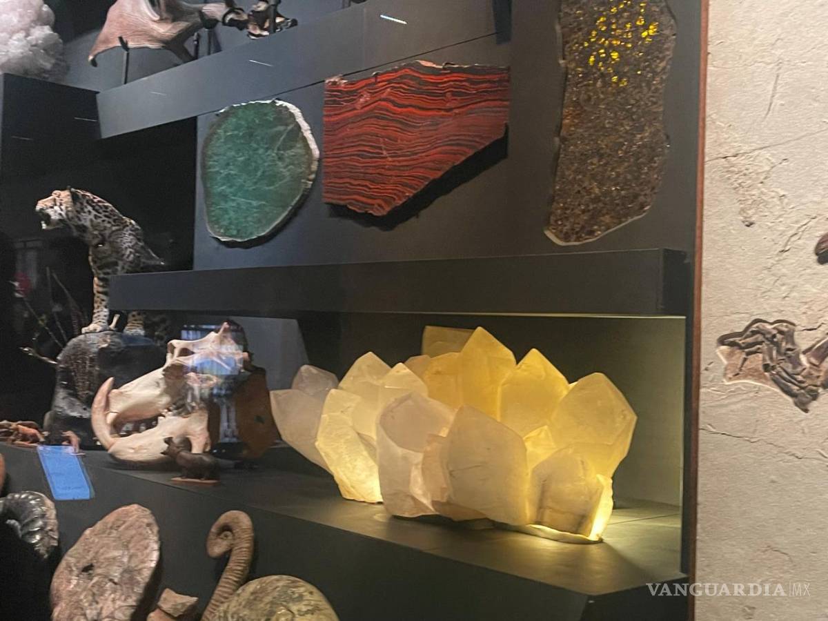 $!La Milarca abre sus puertas este viernes en San Pedro Garza García, Nuevo León