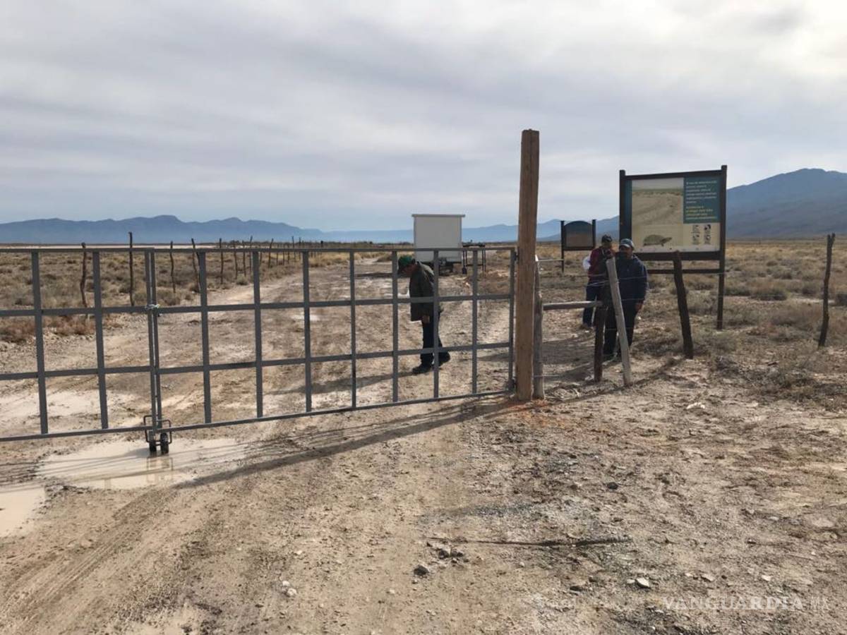 $!Invaden el Río Mezquites de Cuatro Ciénegas y lo cierran al turismo