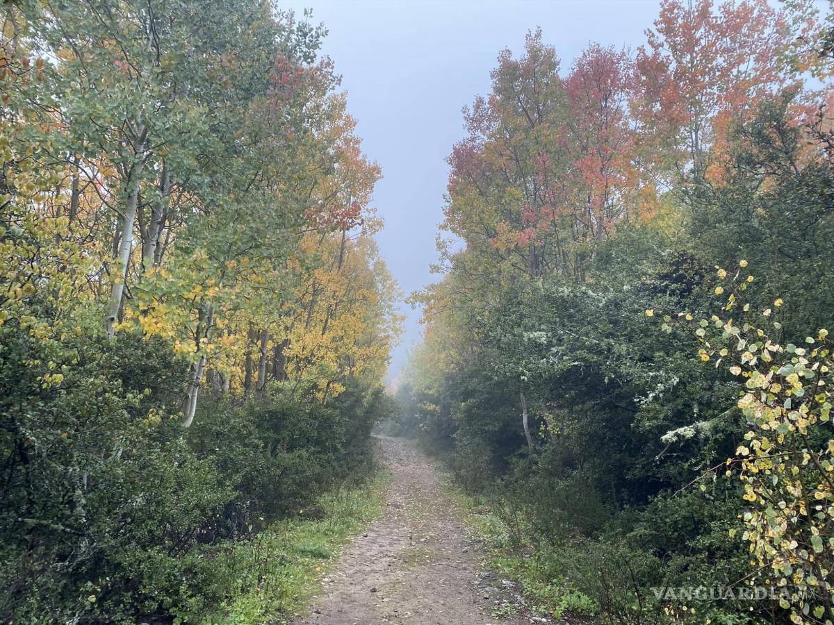 $!Sendero ubicado en la Sierra de la Marta.