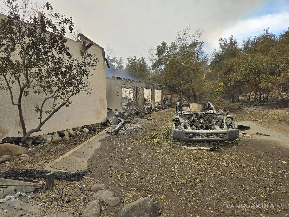 $!Los incendios han arrasado con áreas naturales que servían para todo tipo de entornos educativos: escuelas públicas y privadas.