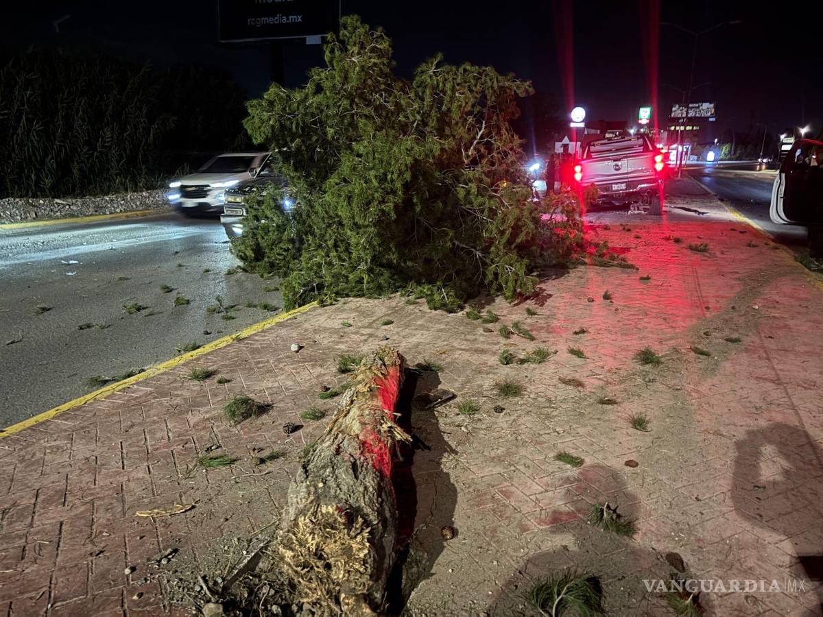 $!Un árbol y una luminaria fueron derribados durante el accidente en la residencial Villa Bonita.