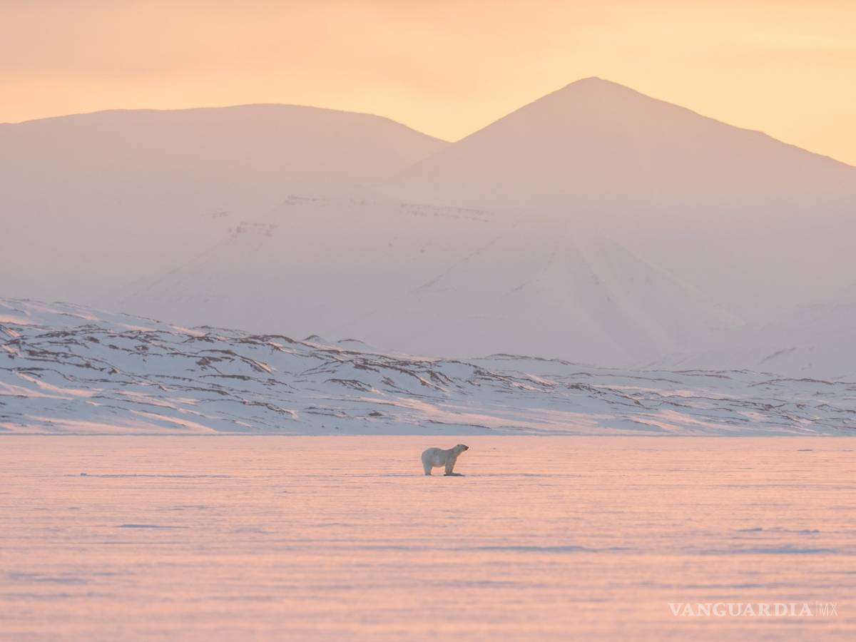 $!North Pole Igloos Hote, una experiencia única en el Polo Norte