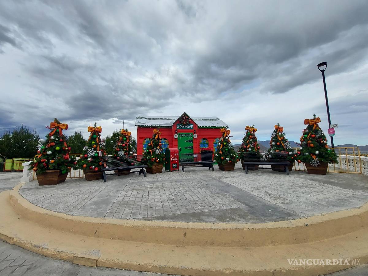 $!Estos son los pinos navideños más atractivos de Saltillo, conoce sus ubicaciones