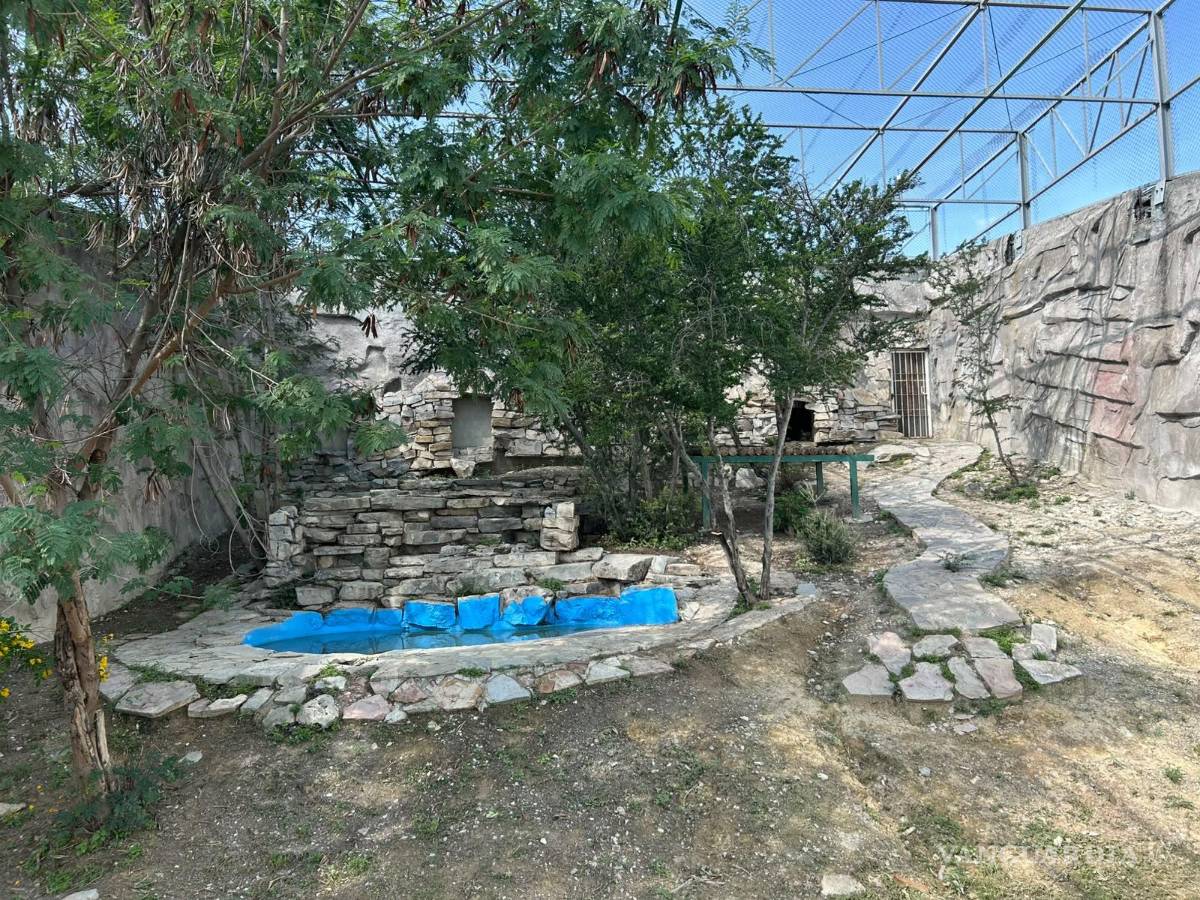 $!Familias regresan al Ecoparque Monclova tras más de un año de permanecer cerrado