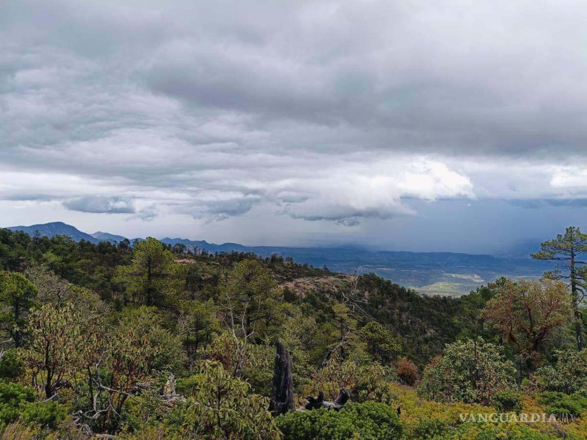 $!Está abierta la convocatoria para la recepción de proyectos de conservación del área protegida del Cañón de Fernández. FOTO: CORTESÍA FONDO DE AGUA PARA LA LAGUNA