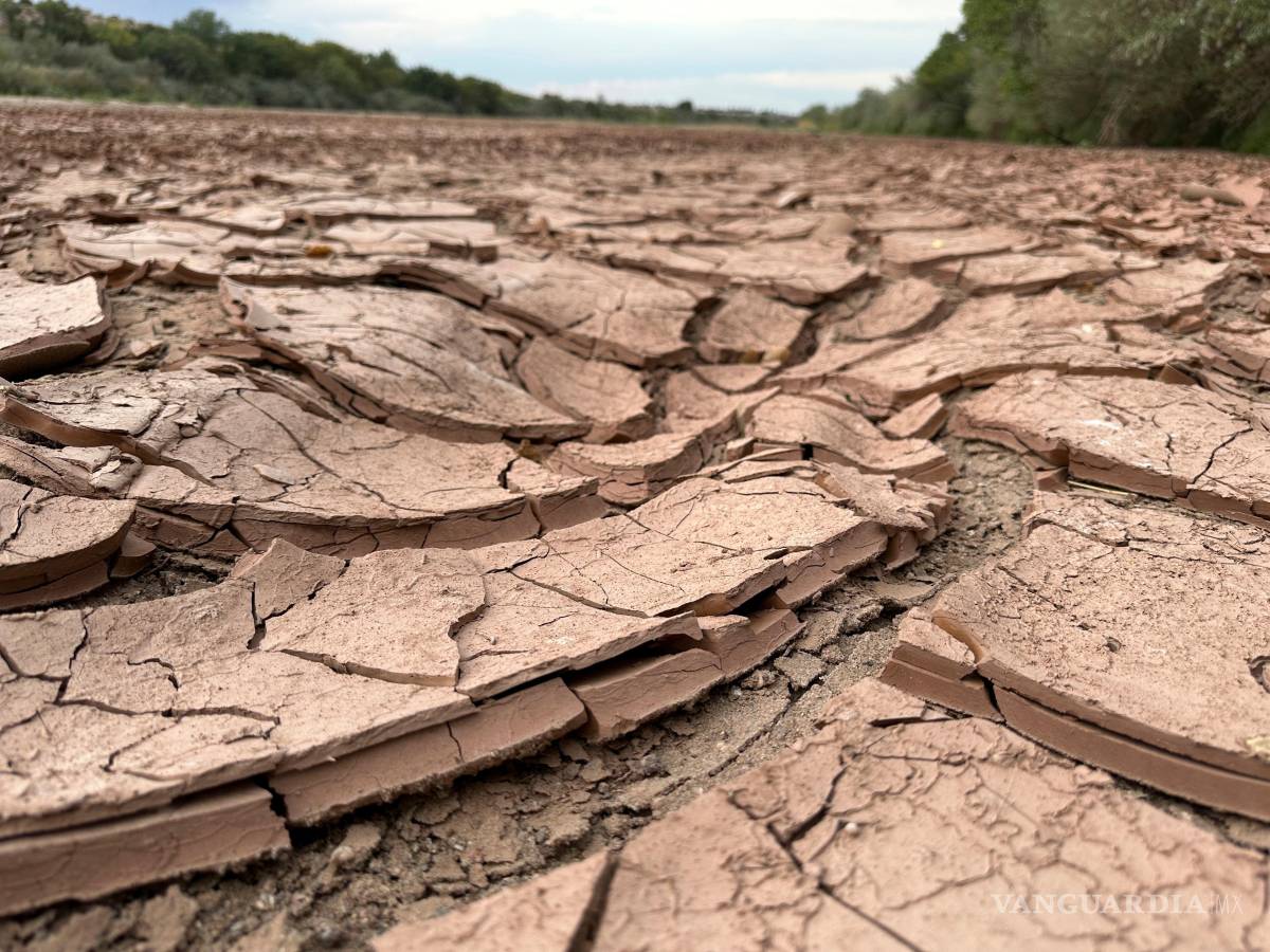 $!Esta fotografía del jueves 21 de agosto de 2025 muestra el lecho seco del río Grande en Albuquerque, Nuevo México.