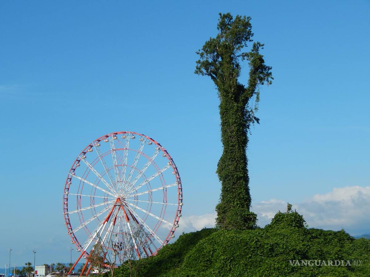 $!Una noria en el puerto. EFE/Misha Vignanski