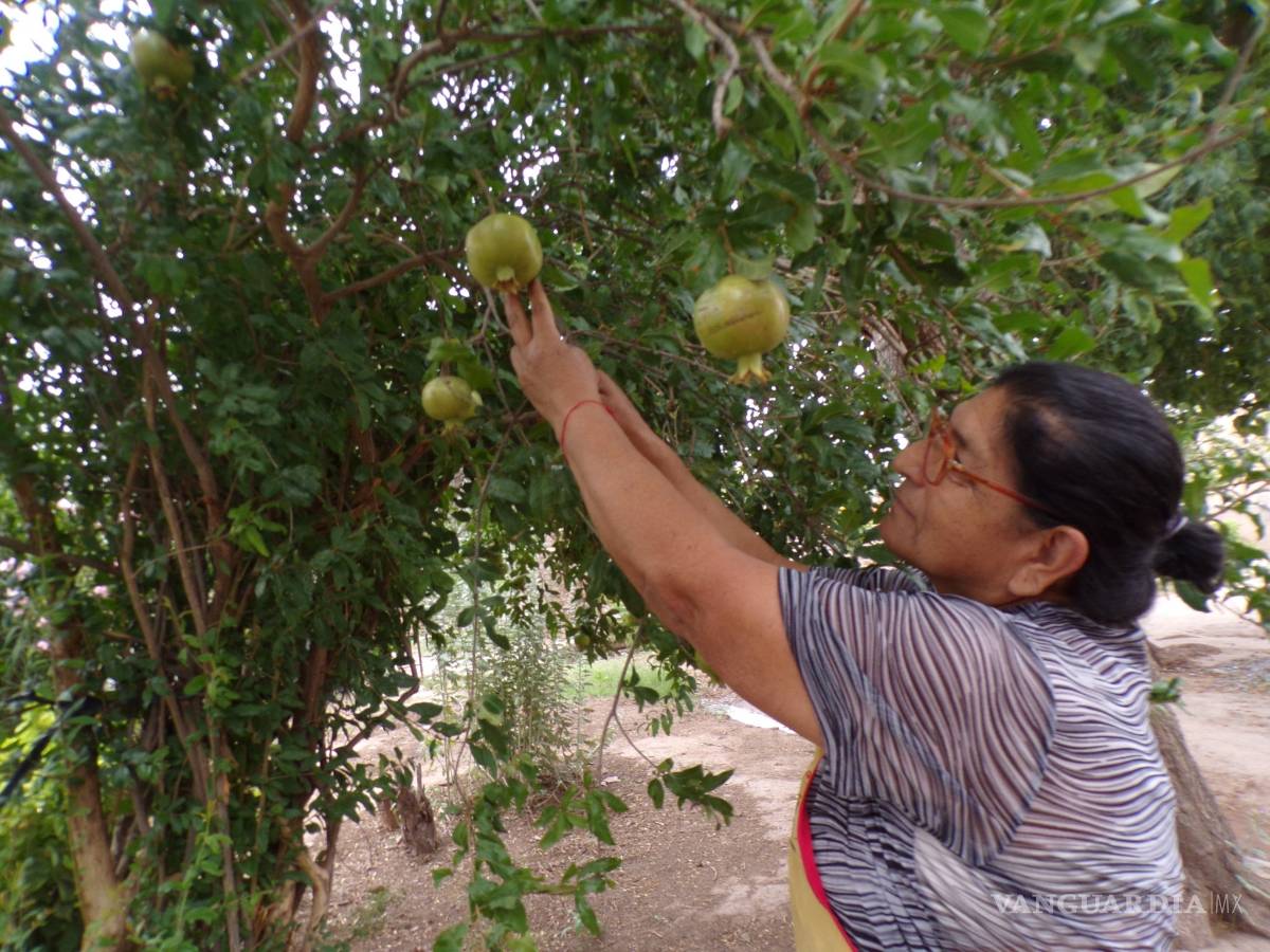 $!En Fermín, ejido de General Cepeda, ya no hay vacas para hacer queso