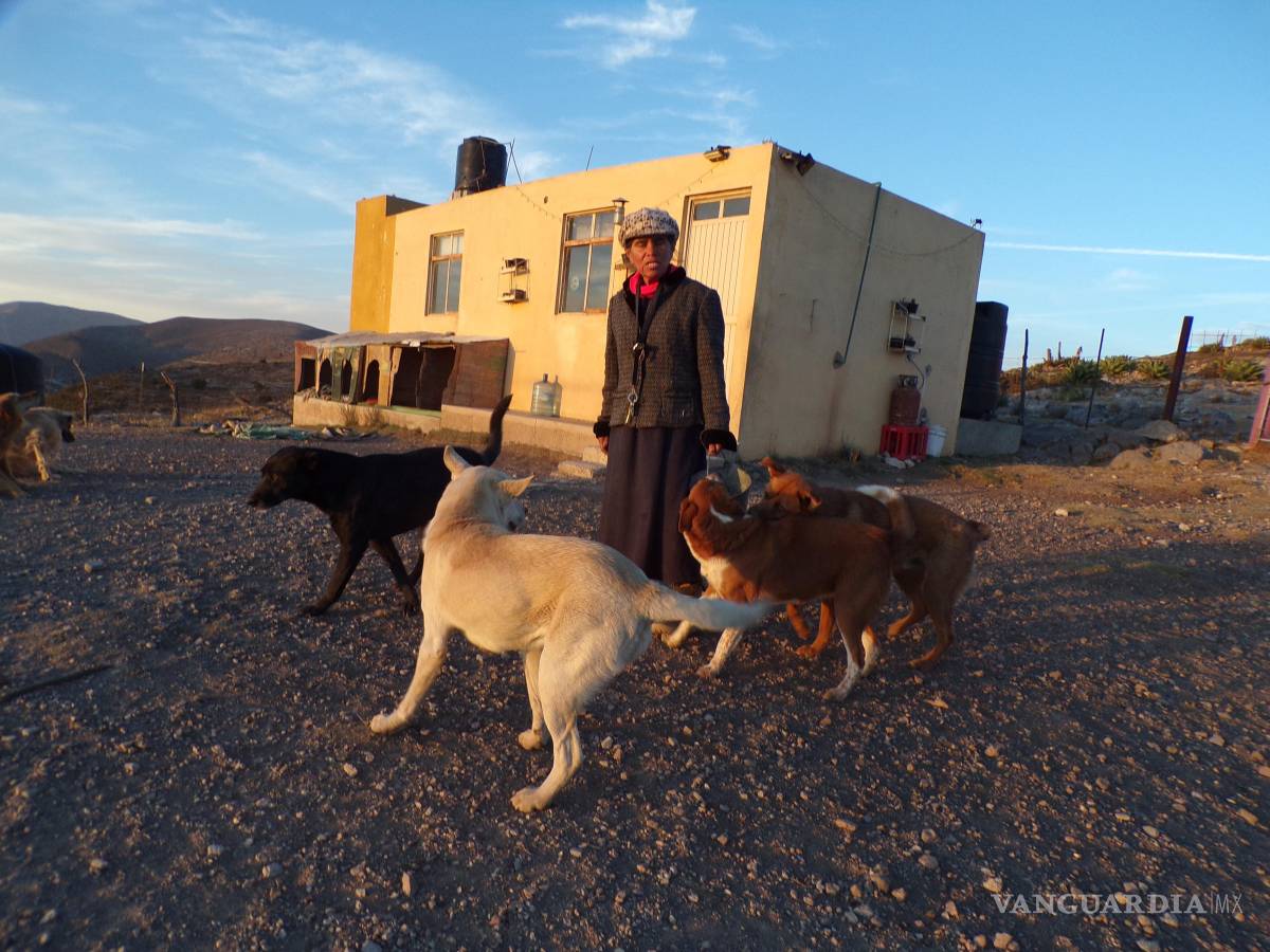 $!La monja del monte cultiva sus propios vegetales como zanahoria, cilantro o perejil