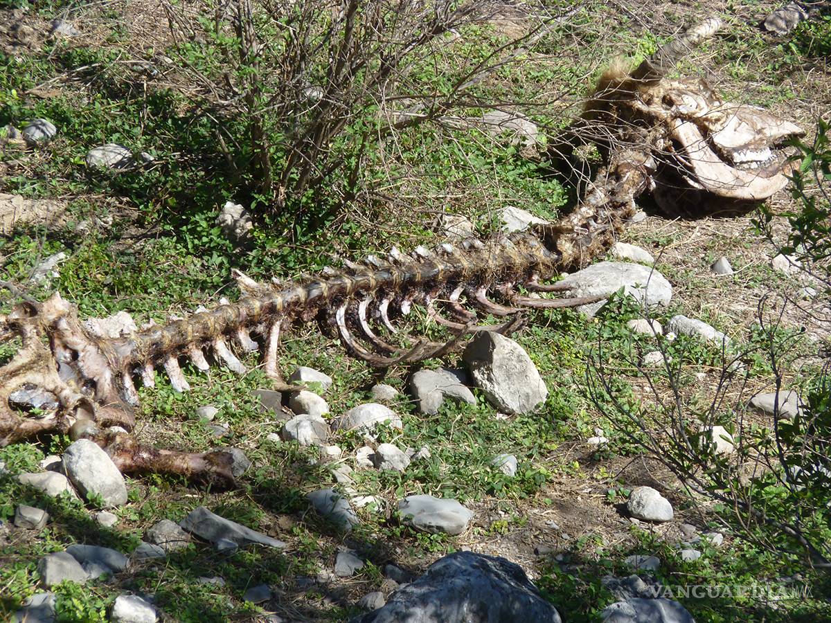 $!Cercaron el cerro, les mataron a sus animales, tumbaron sus chozas y ¡los despojaron de sus tierras!