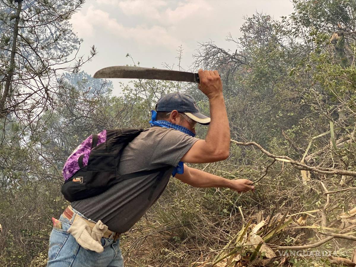 $!Brigadista creando una brecha cortafuego con ramas.