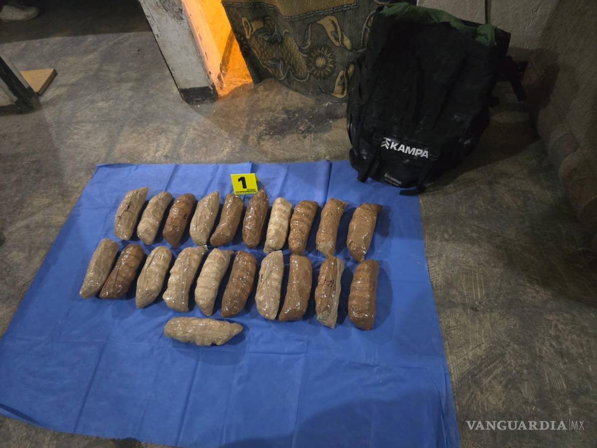 $!En 21 paquetes estaba la droga distribuida.