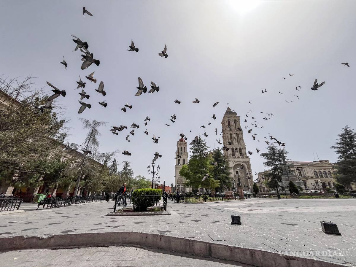 $!Los fuertos vientos generaron que la calidad del aire se degradara.