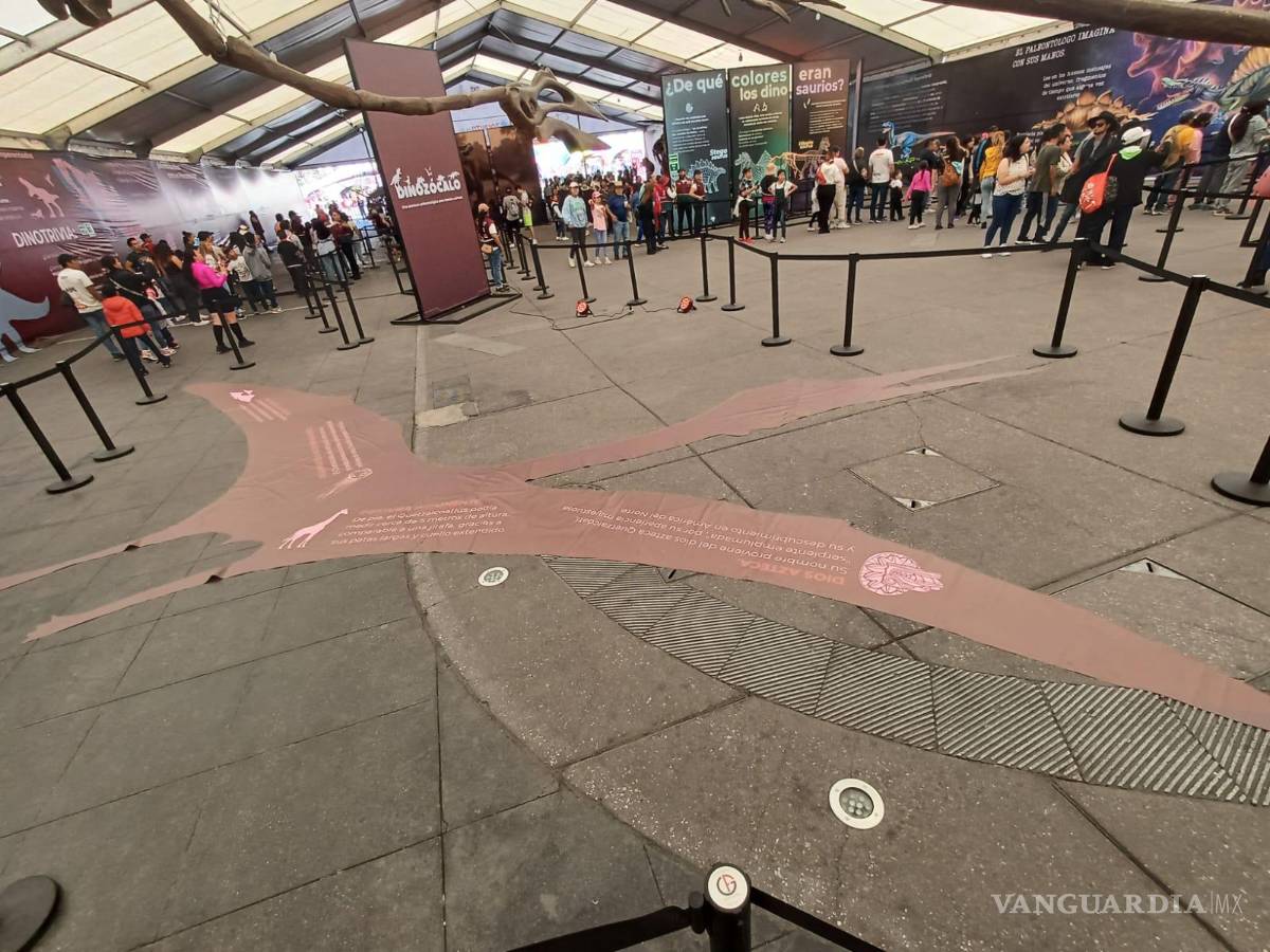 $!Con más de 1,600 metros cuadrados, la muestra temporal destaca especies como el Tyrannosaurus rex y el Coahuilaceratops magnacuerna, provenientes de la Colección Paleontológica de Coahuila.